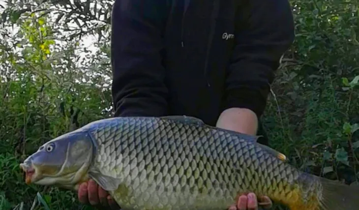 Nesmrtelný Devill Krill