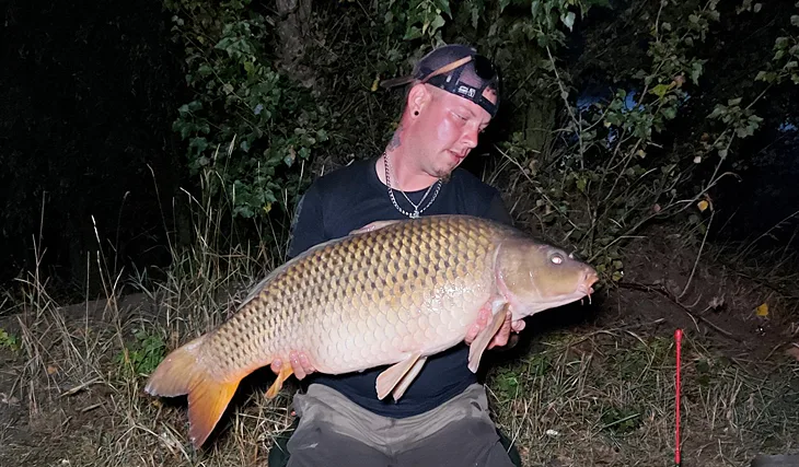 Kill Krill opět boduje