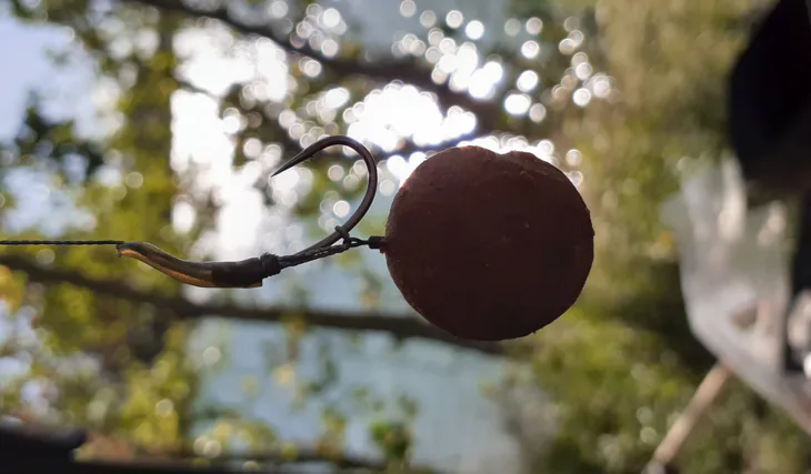 Krátka vychádzka v podaní boilies 68