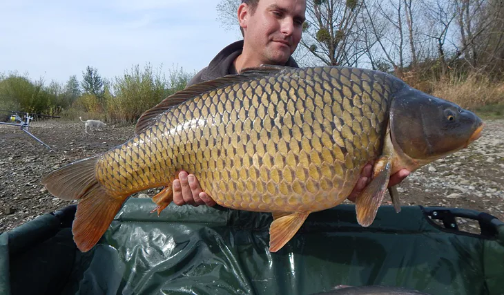 Zemplínská Šírava