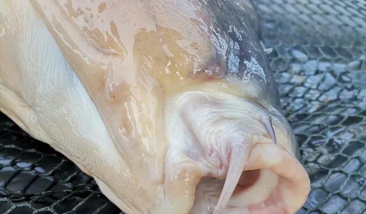 Menší obecní rybník