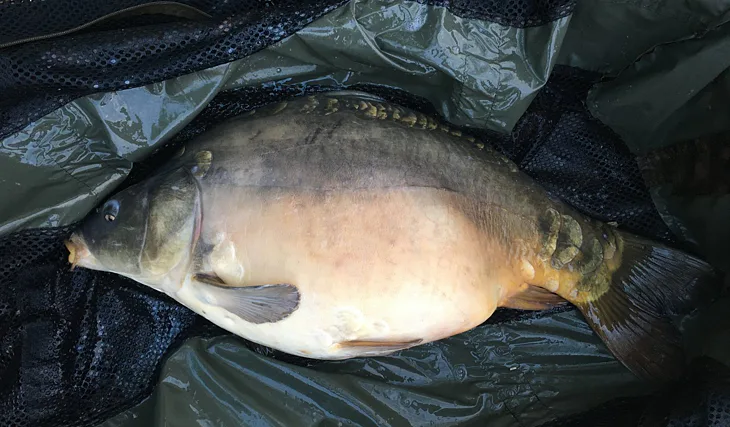 Úspěšná sezona s našimi produkty od Tomáše Gregora