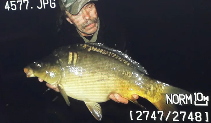 Kapřík s vašim logem :-)