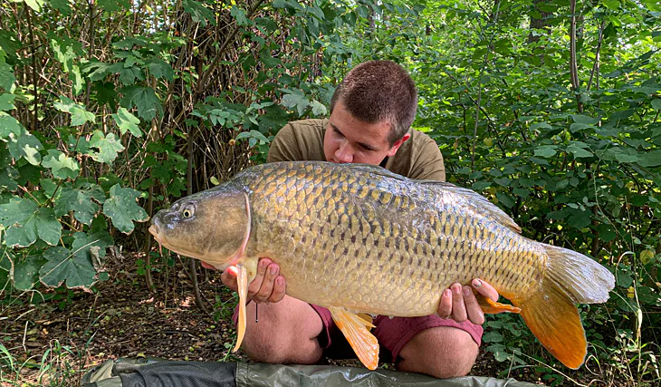 Teplé období v roce 2020