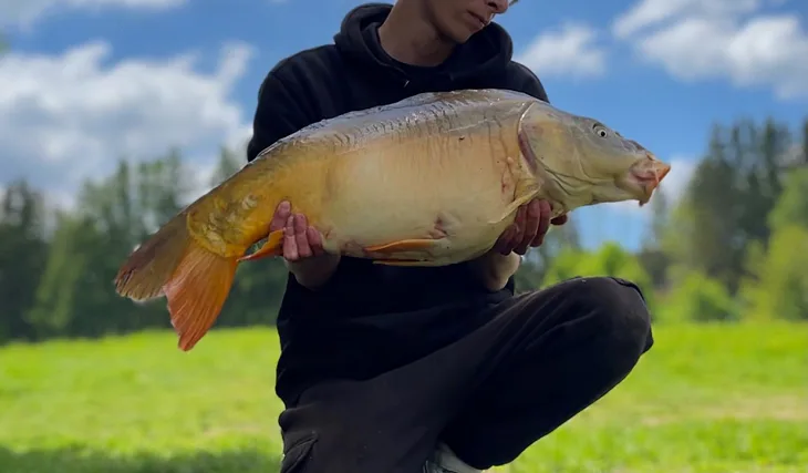 Na chvilku u malého revíru