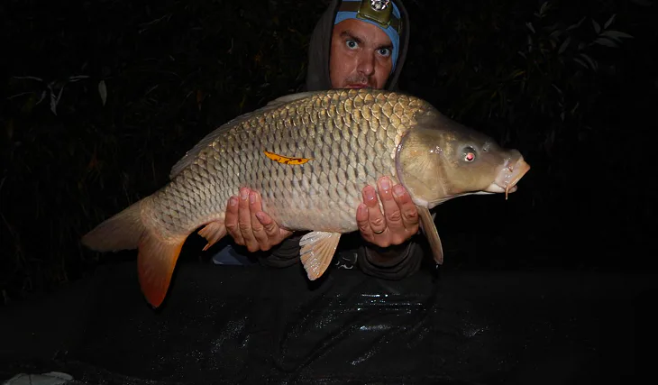 Pár dní předkrmování