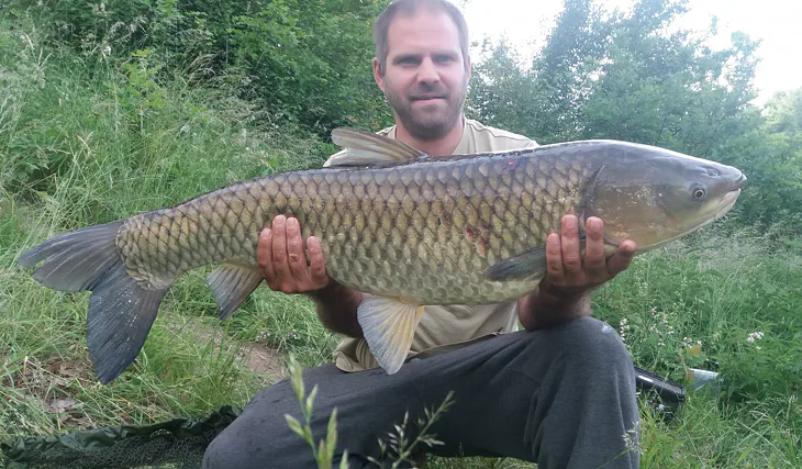 Pěkný úlovek amura