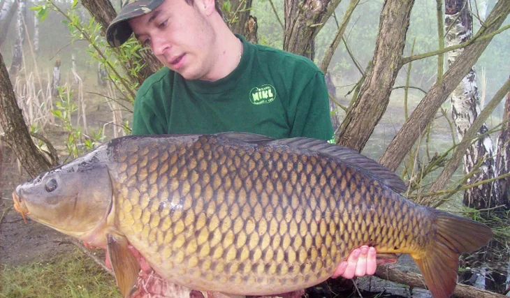 Fantastická ryba z kouzelné pískovny