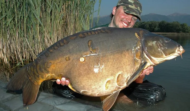 Food Signal řádil na svazové vodě v Itálii!!