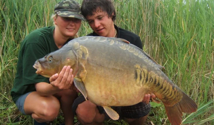 Scopexovo letní rodeo