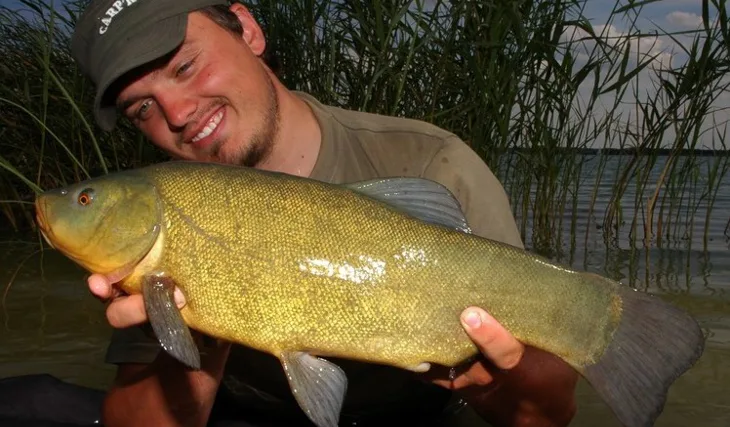 Letní průzkumná výprava do Francie 