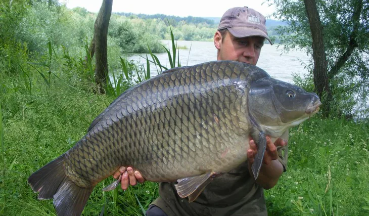 Další Maďarský obr