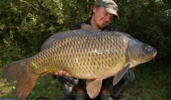 Šimansky s „doktorem“ na D7