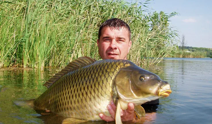 Dimi a jeho Maďarská bitva