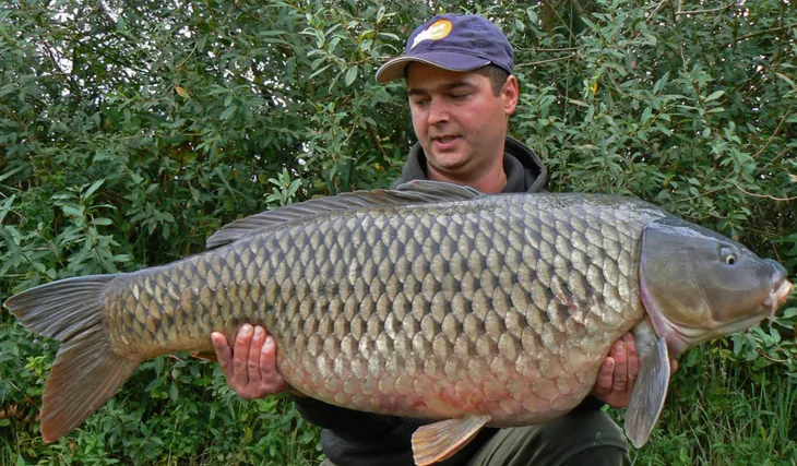 Shimanski a jeho podzimní sklizeň