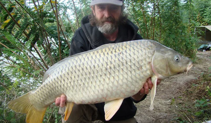 Od roll-balu k prutům