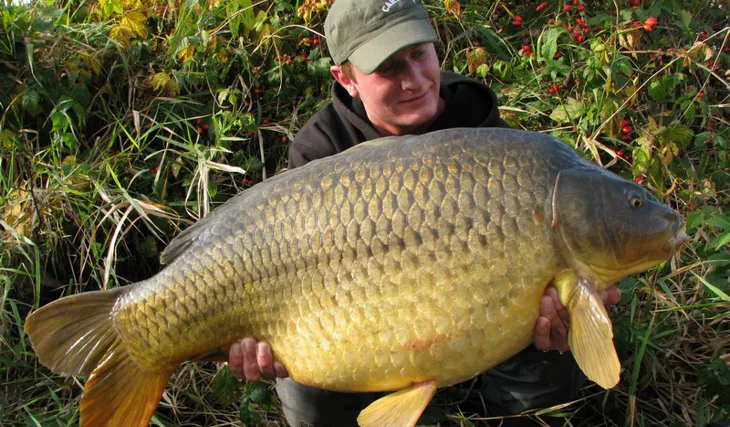 Vybarvený podzim na pískovně