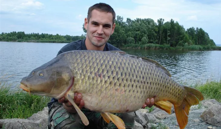 Mušovské království