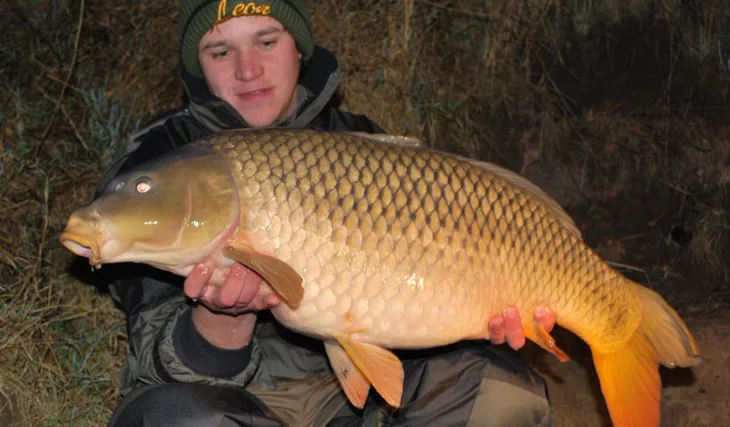 Scopexovo podzimní snažení