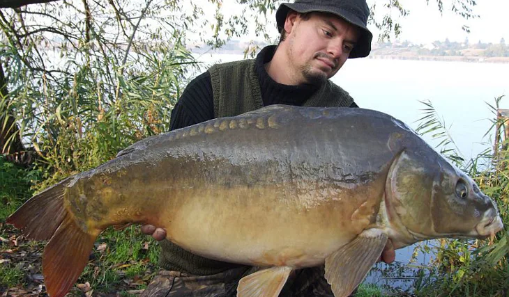 Úplněk nad Merenye