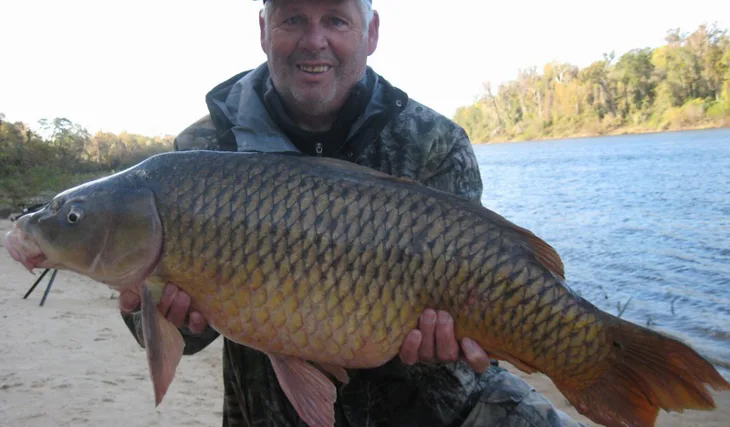 Osobáček po 50-ti letech, tisíce kilometrů od domova