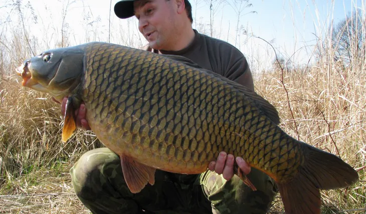 Tondova první výprava... 