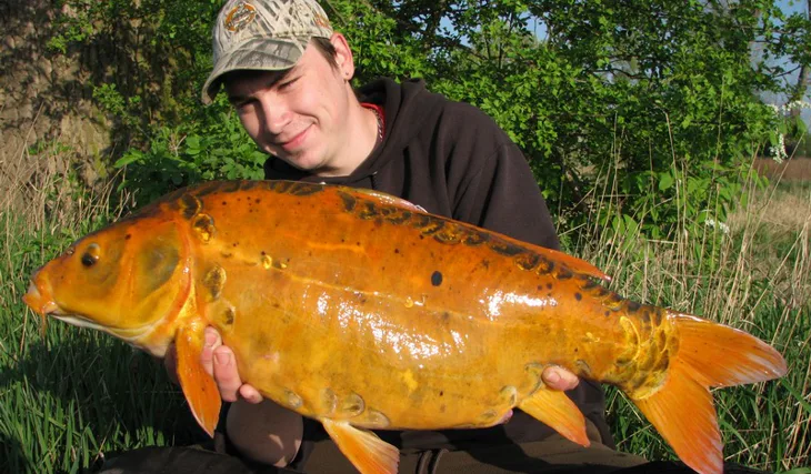 Carpkillerovo řádění pokračuje...! 