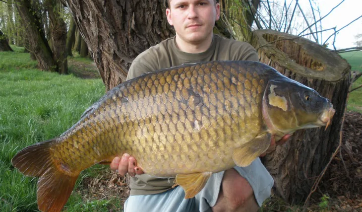 Skvělá série pro Honzu Kořenka... 