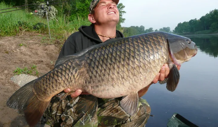 Wokas a kapří krasavci... 