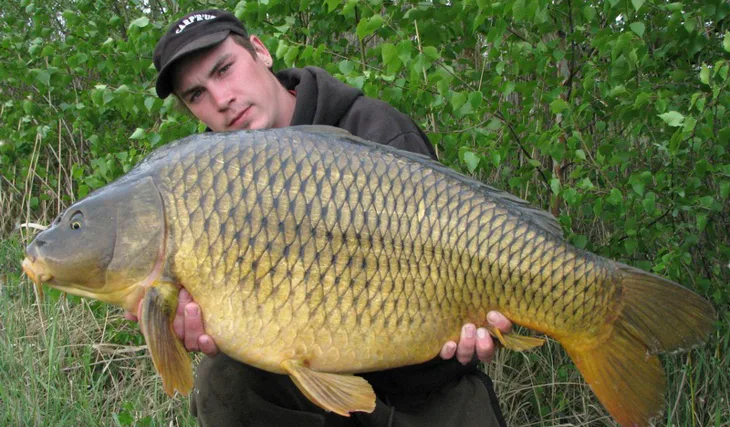 Carpkiller a jeho skvělá série... 