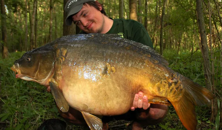 Doktorova Mojito party