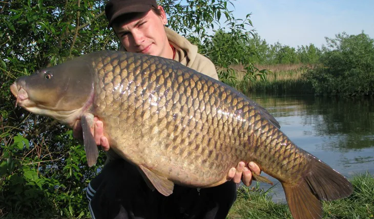 Carpkillerovo letošní řádění nezná mezí...