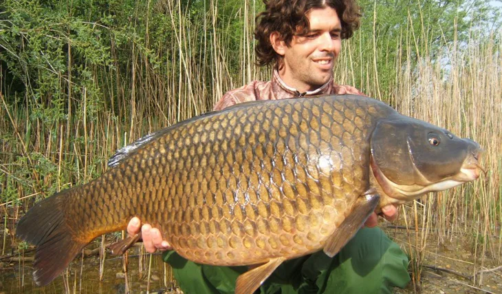 Za 5 minut dvanáct...