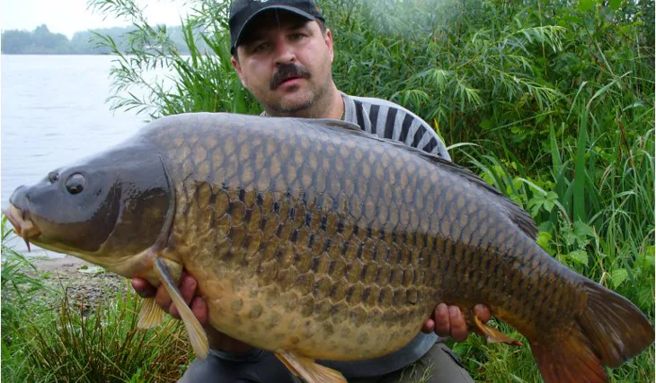 Někdy stačí jen jeden záběr 