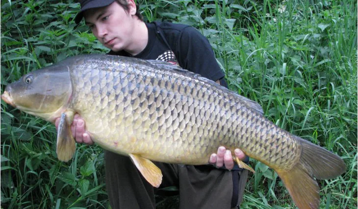 Carpkiller opět v akci