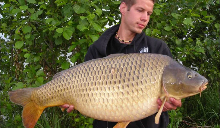 Rychlovky na Štítě