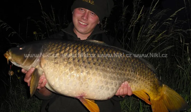 Kinder Carp Gang opět řádí!