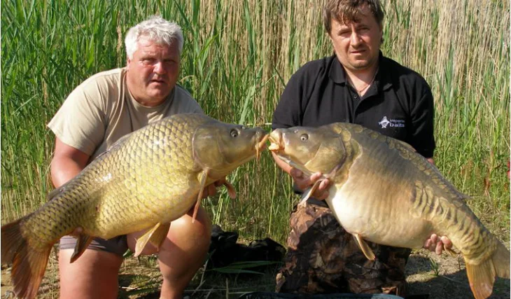 Krasavci z Jihočeské pískovny