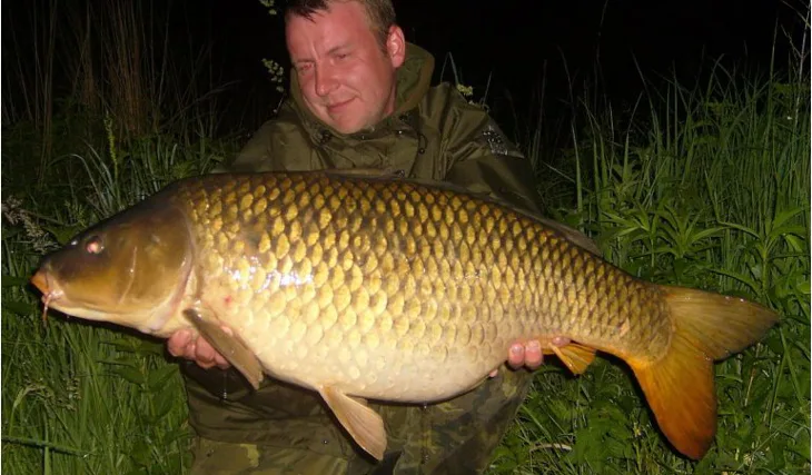 Krasavci ze svazovek