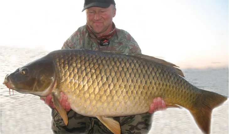 Dalasovi kapří krasavci