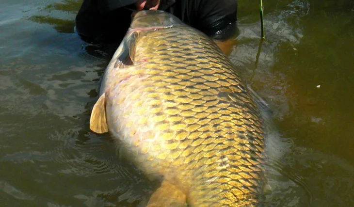 Jarní trampoty Mušovské vydry... 