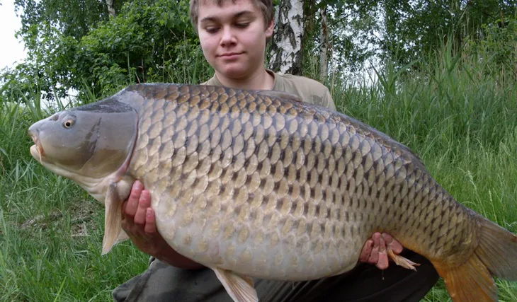 Květen na Vrbeňáku