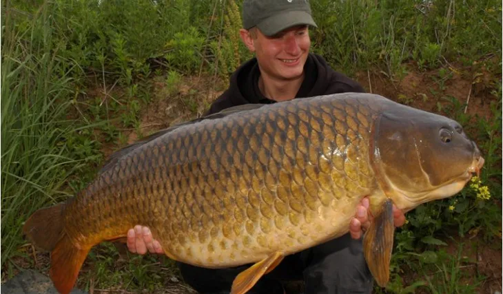 Robinův masakr 3XLkem