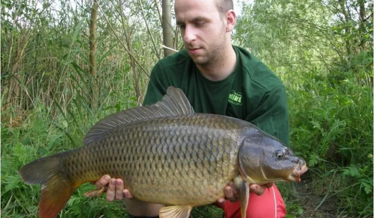 Nepřekonatelné 3XL