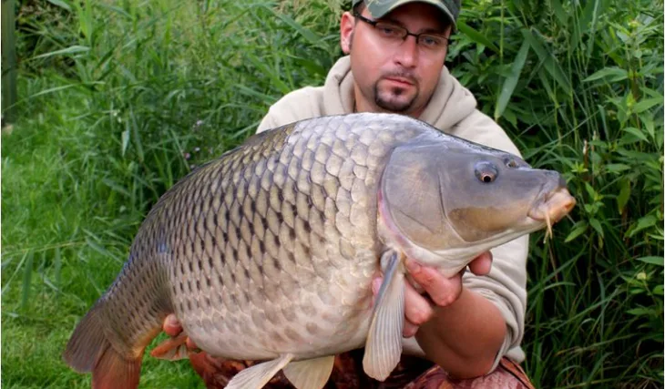 Když kapři neberou