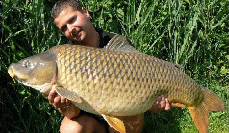 Shimanskyho supertajná vnadící strategie odhalena!