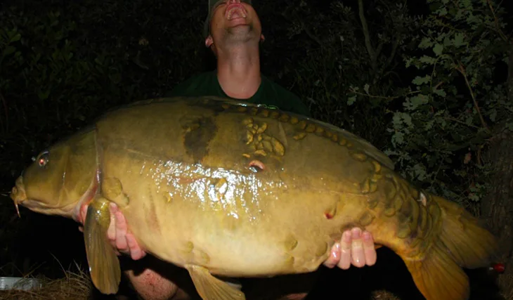 Davidovo Cassienské dobrodružství