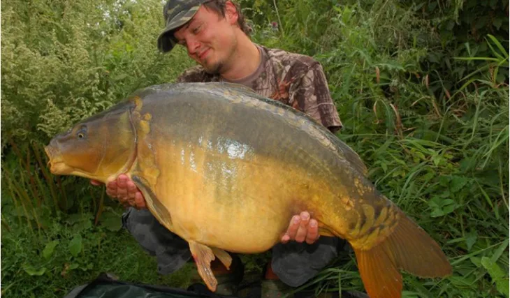 Horké chvilky s Food Signalem