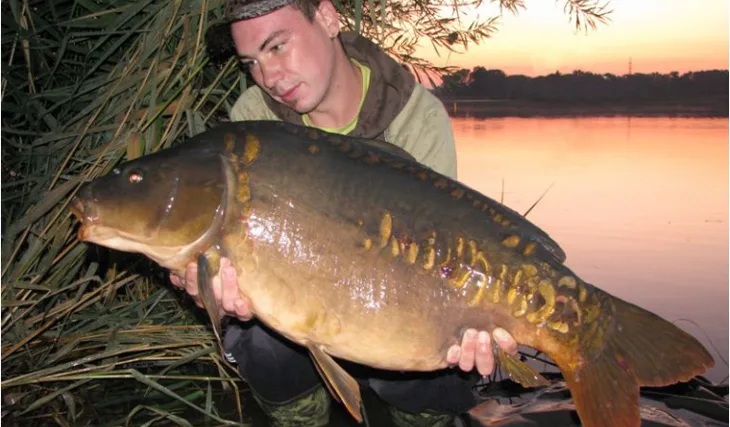 Carpkiller opět nastupuje!