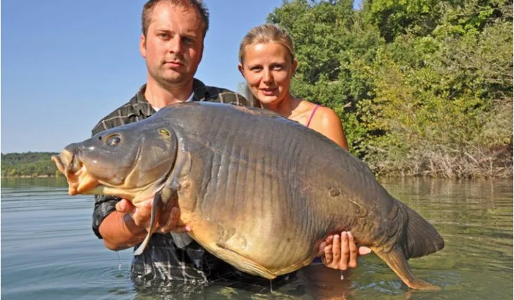 Cassienský orgasmus